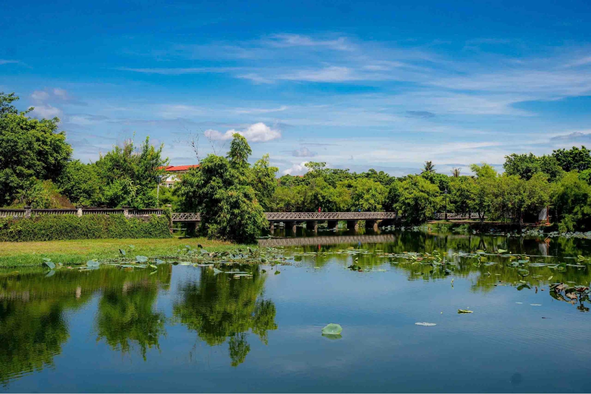 Hồ sen rộng lớn, trong xanh và yên bình giữa lòng cố đô Huế