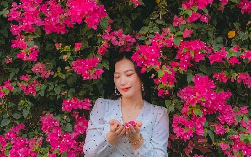 Check in bên giàn hoa giấy đỏ phớt hồng rực rỡ.