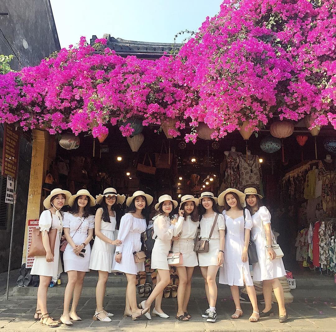 Hoa giấy rực rỡ dưới nắng vàng dịu dàng tháng 3