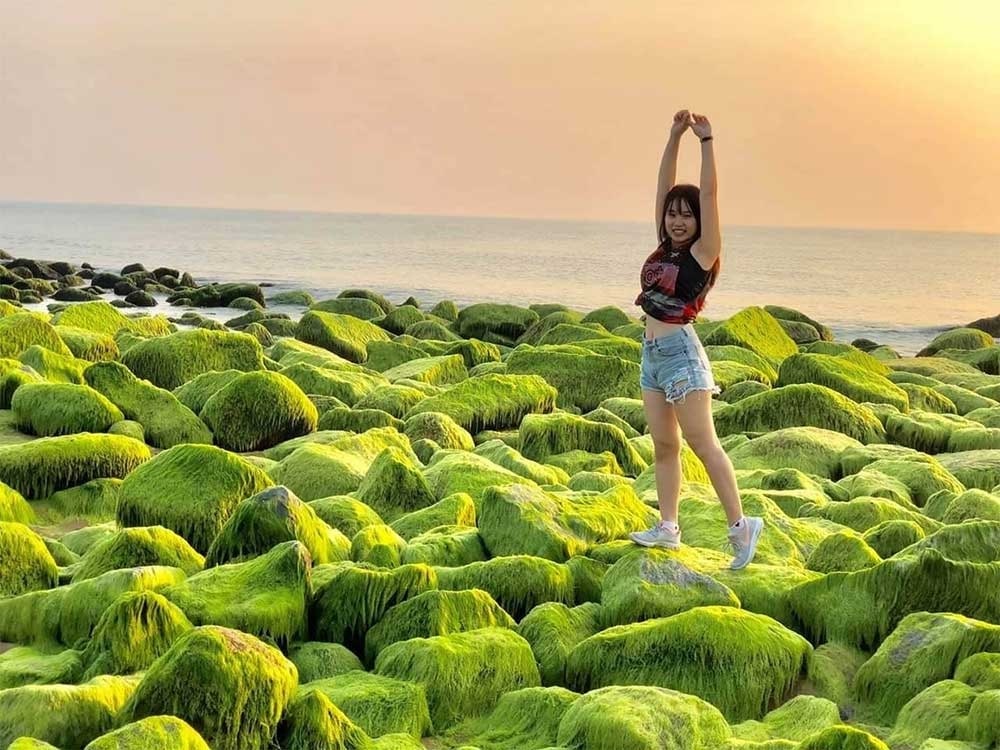 Những thảm rêu xanh mướt trải dài, lung linh dưới ánh bình minh