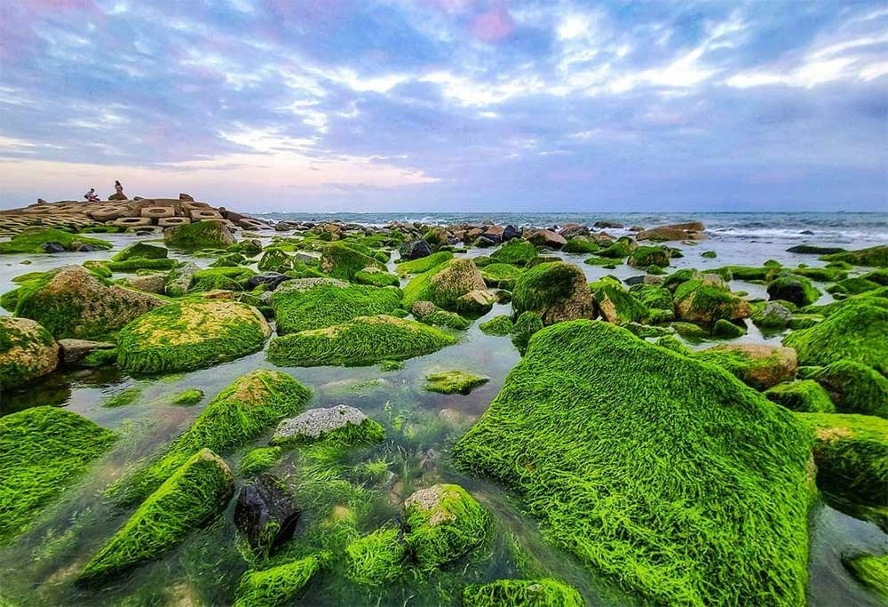 Du khách nên tra google map để di chuyển tới bờ kè Phú Yên