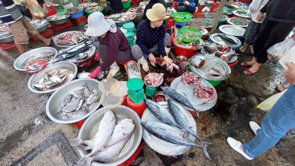 Khu bán cá tấp nập vào buổi sáng sớm