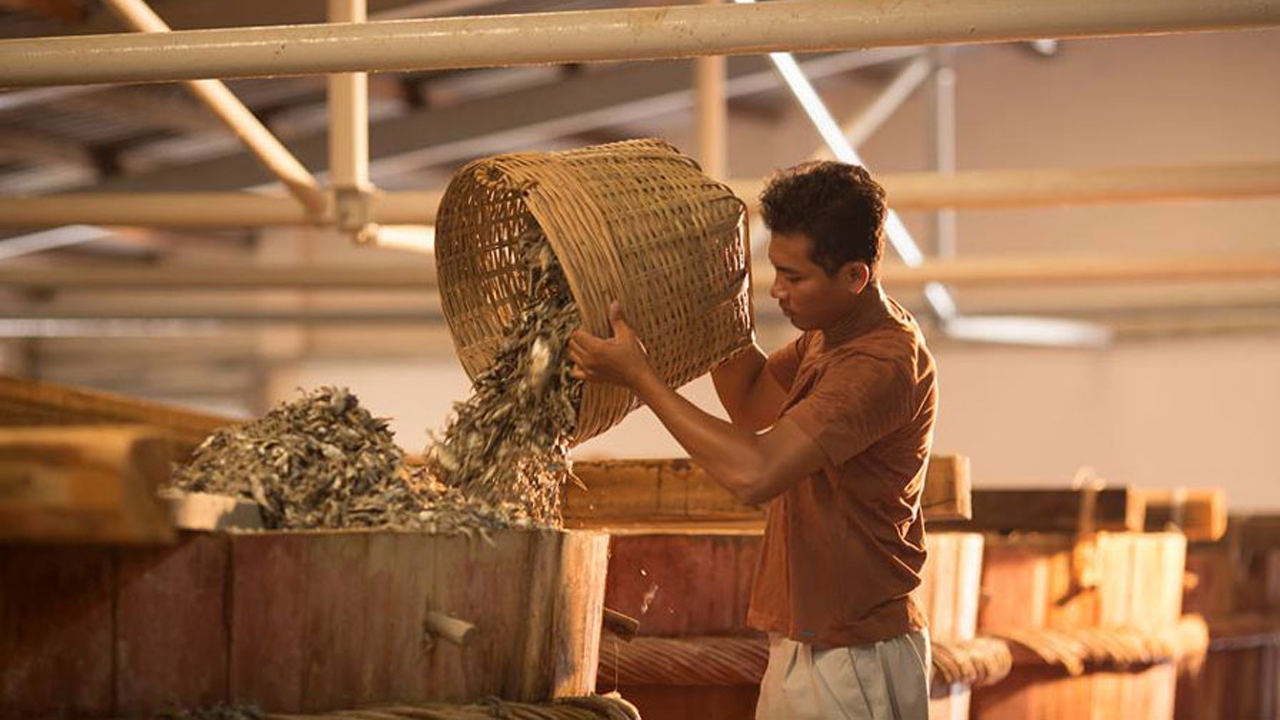 Du khách ghé thăm làng nghề nước mắm truyền thống ở Gành Đỏ