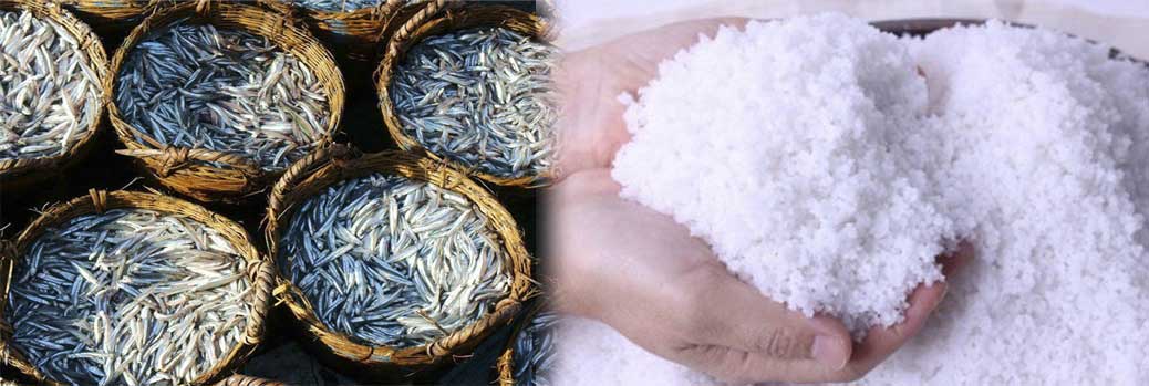Nước mắm truyền thống Gành Đỏ làm theo công thức 3 cá - 1 muối