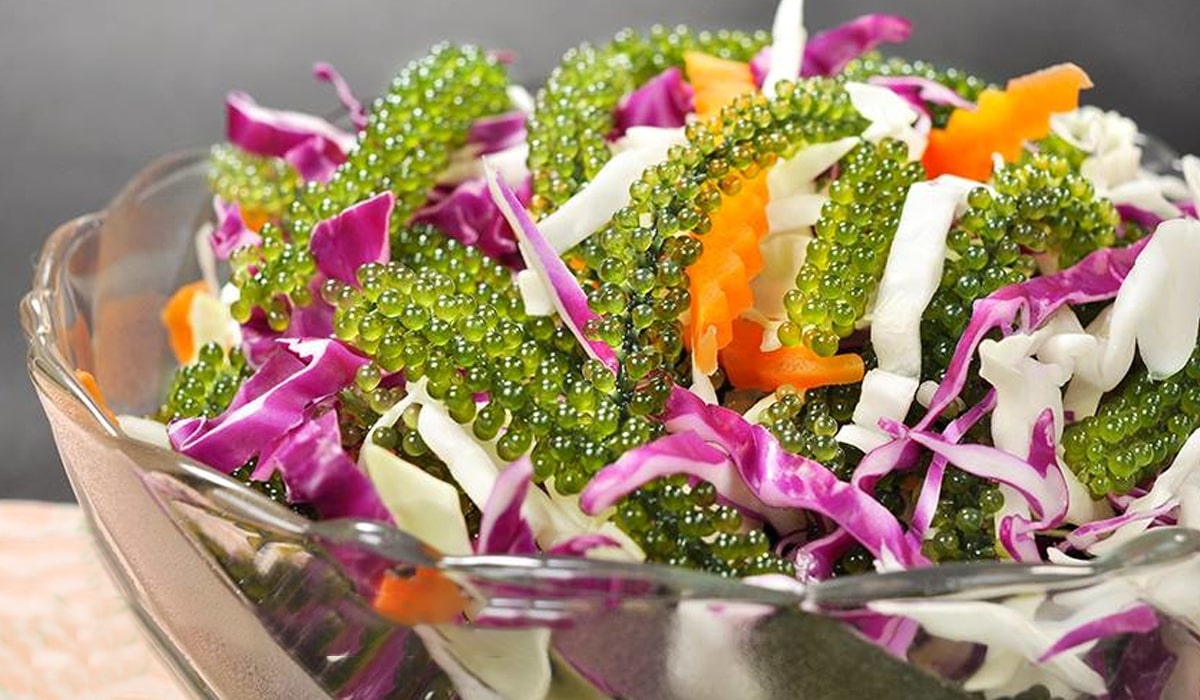 Gỏi rong nho màu sắc