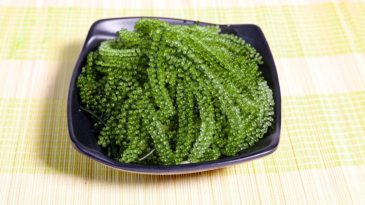Chùm rong nho tươi mát, xanh non