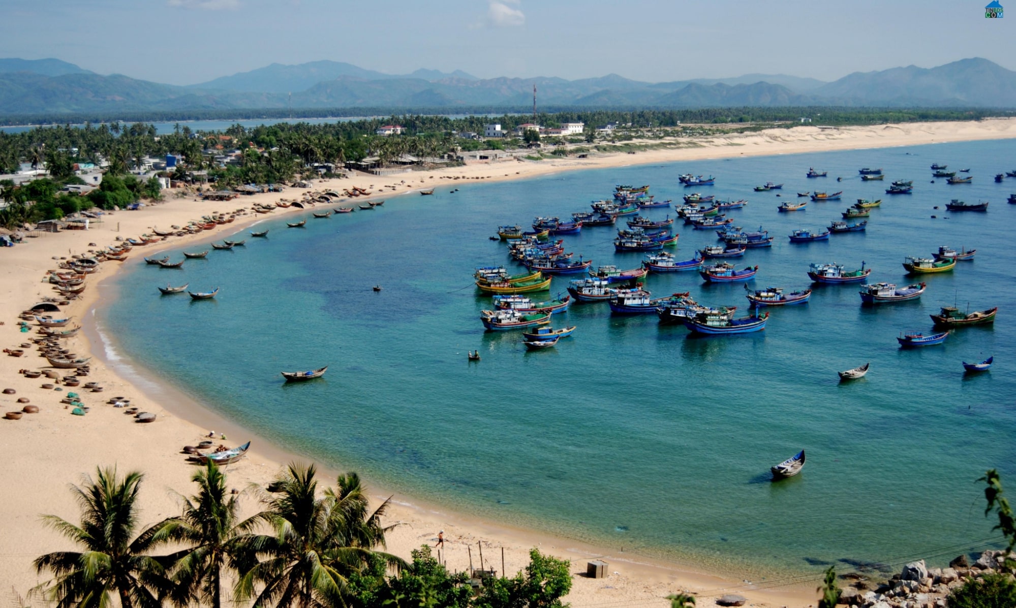 Cảng thuyền đông đúc sau một ngày ra khơi bội thu