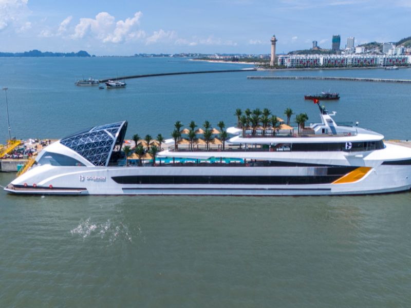 Dolphin Halong Cruise
