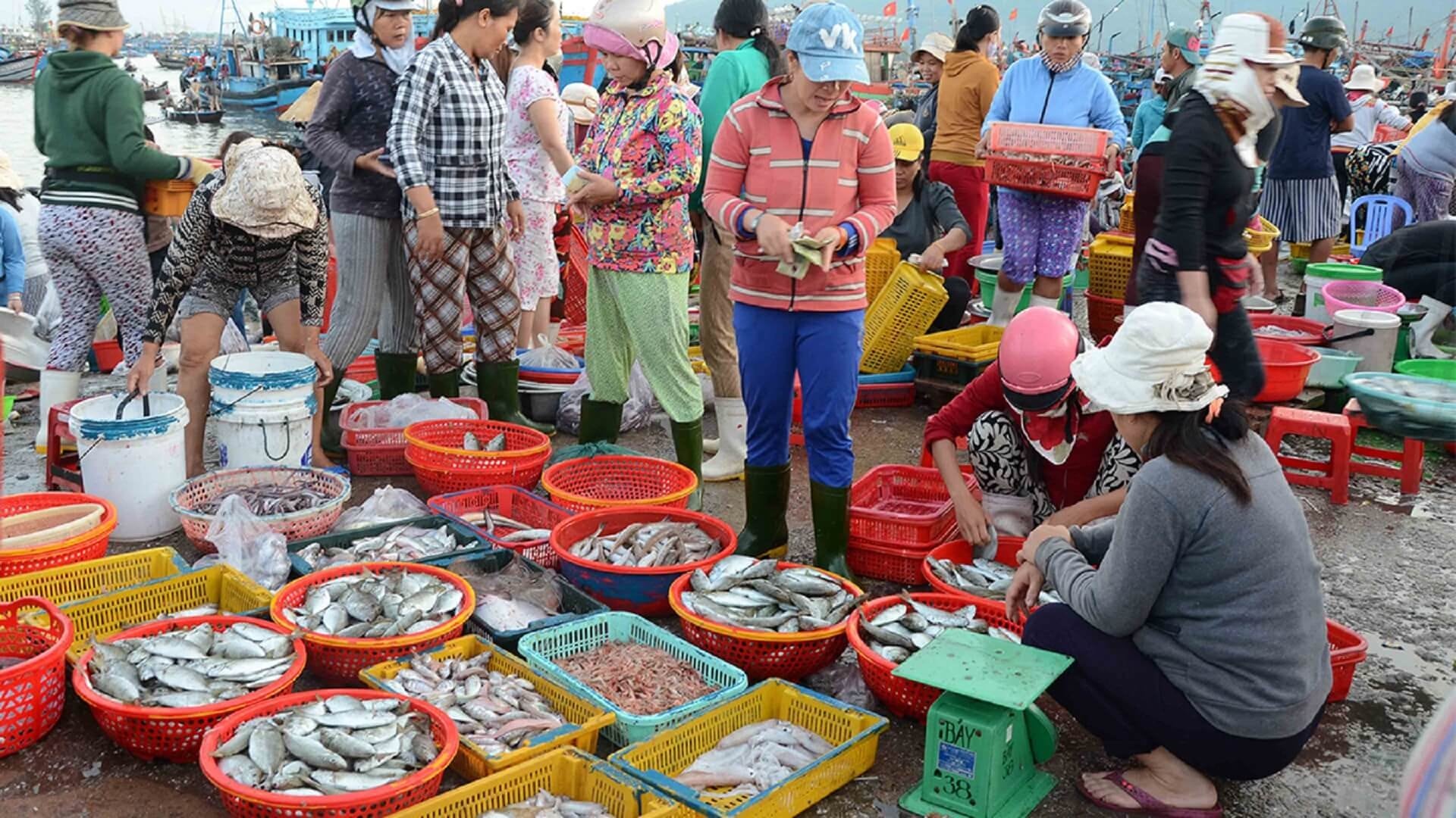 Những mẻ hải sản tươi ngon tại chợ Vĩnh Hải