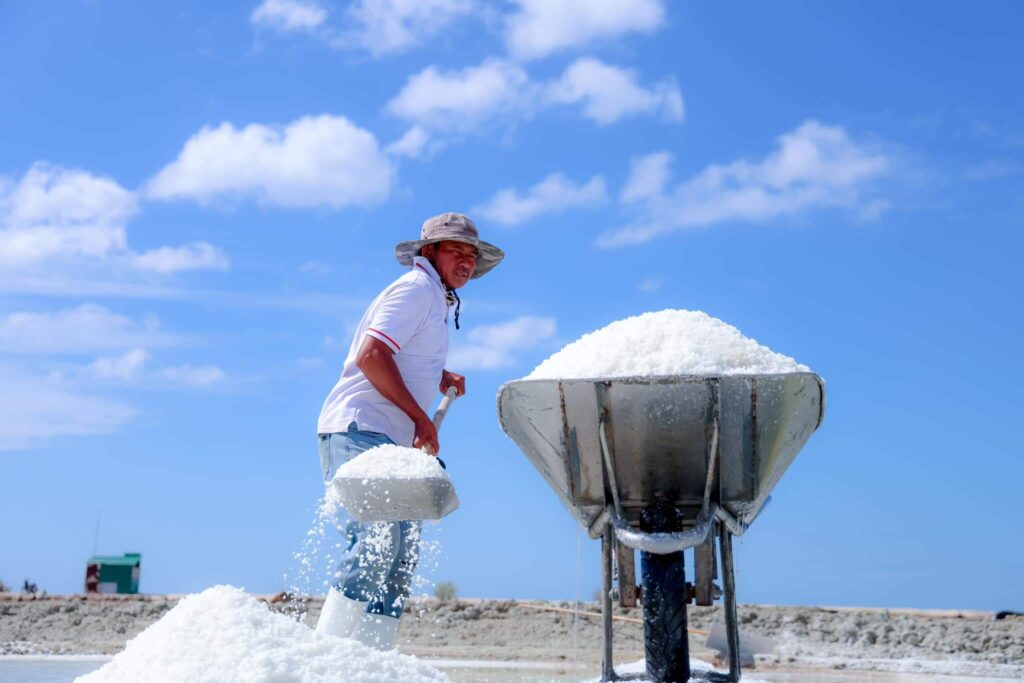 cánh đồng muối ninh thuận