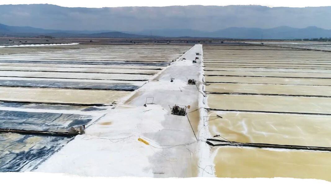 cánh đồng muối ninh thuận