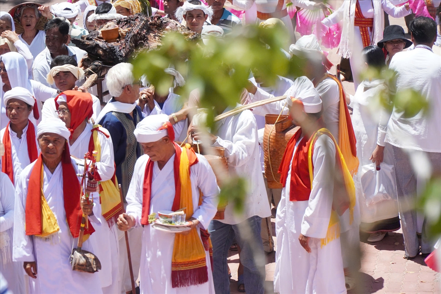 lễ hội ninh thuận
