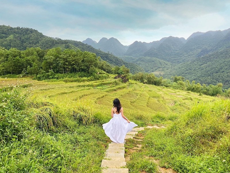Du khách thỏa sức check-in cùng những thửa ruộng bậc thang