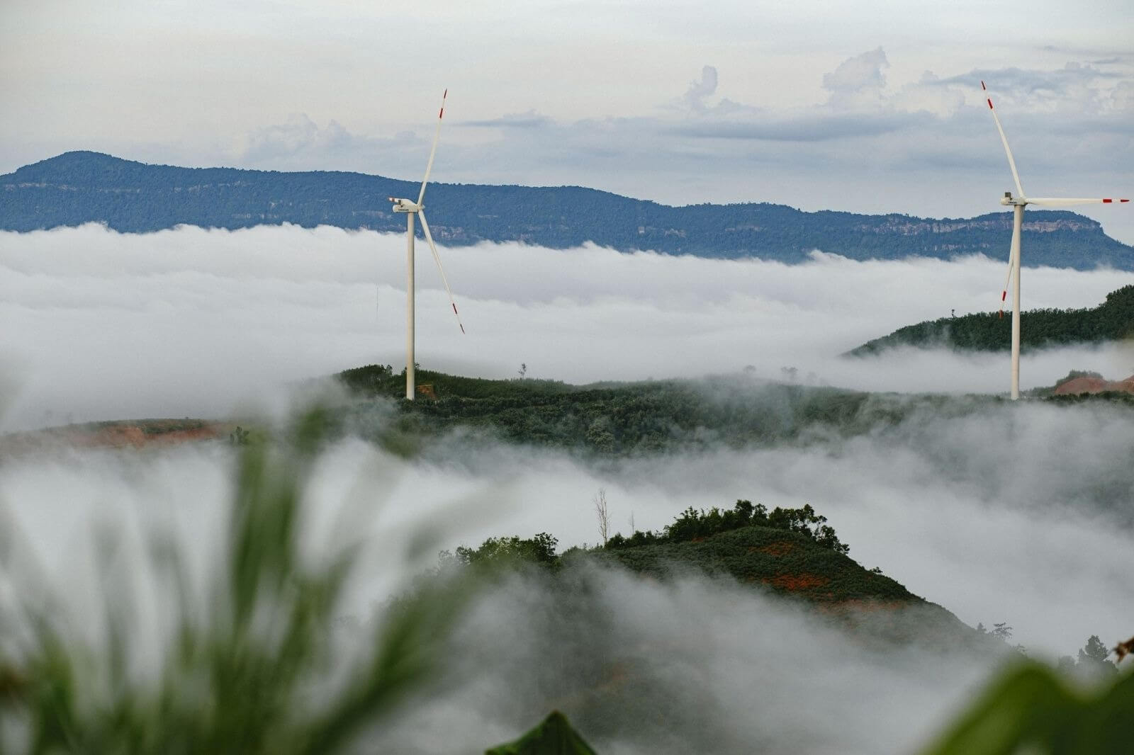 Cảnh đẹp tiên cảnh tại đỉnh Cu Vơ