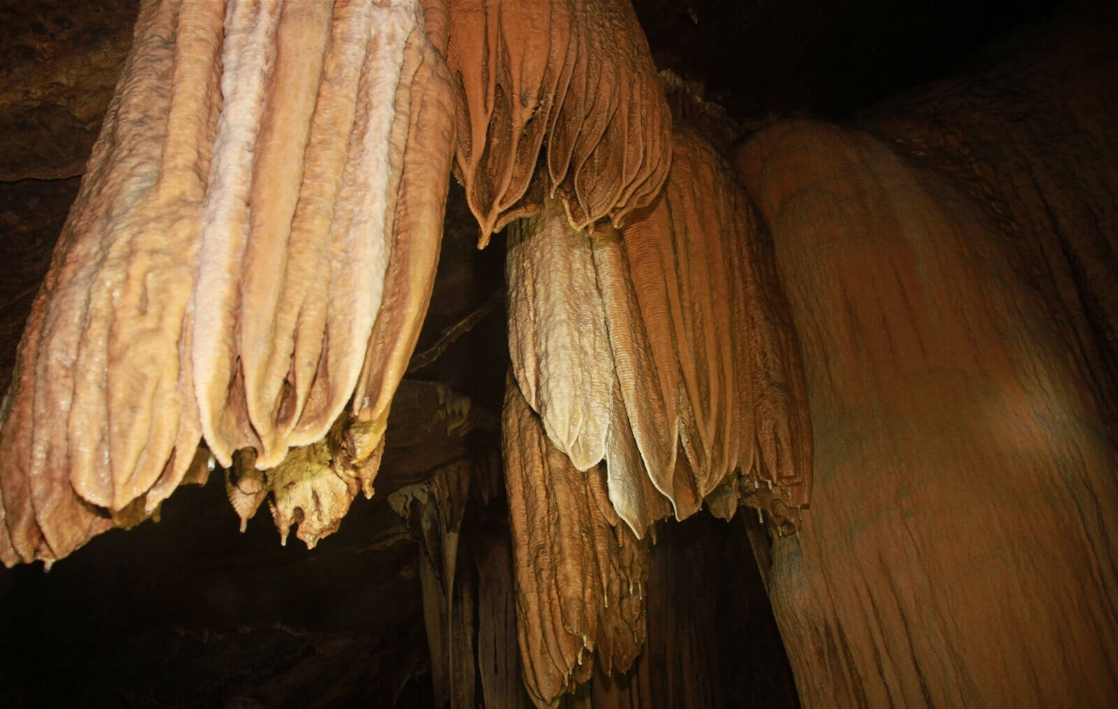 hướng hoá quảng trị