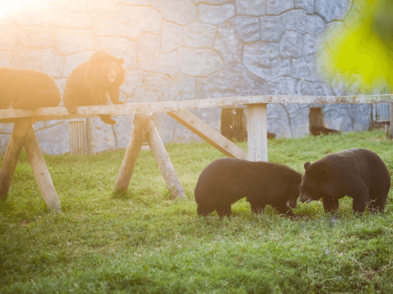 khu du lịch diễn lâm