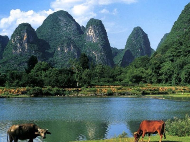 yên thành nghệ an