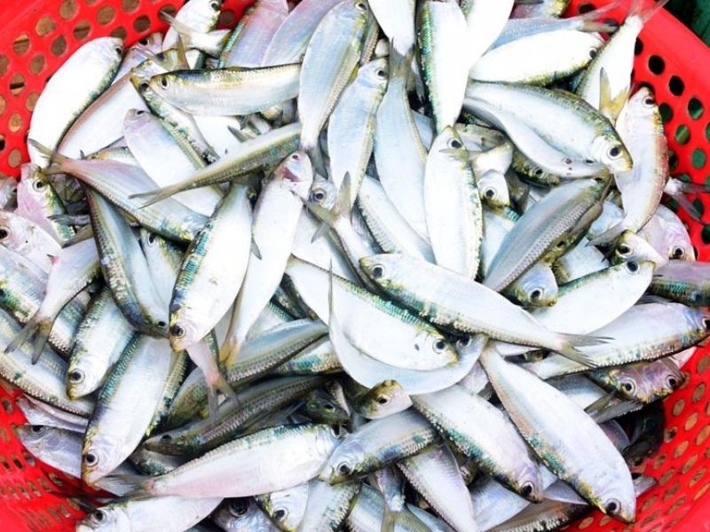 yên thành nghệ an