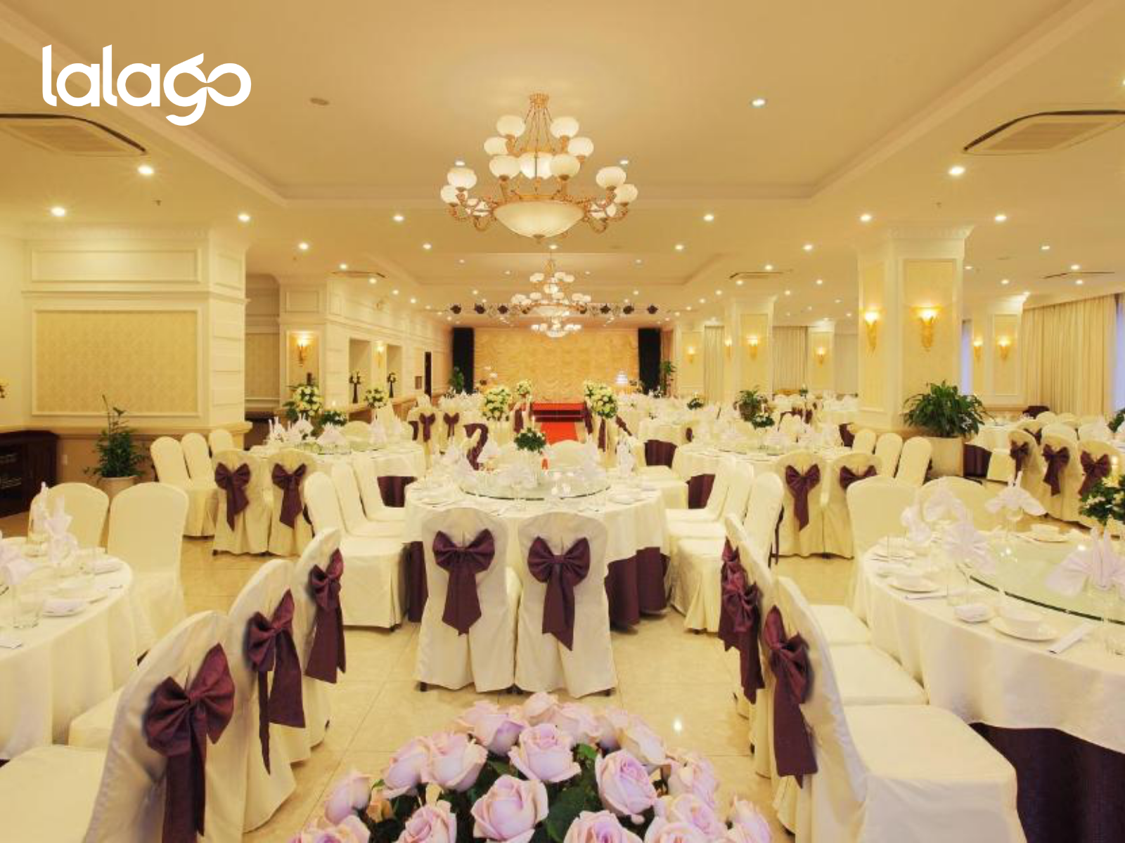 Khách sạn Flamingo Đại Hải