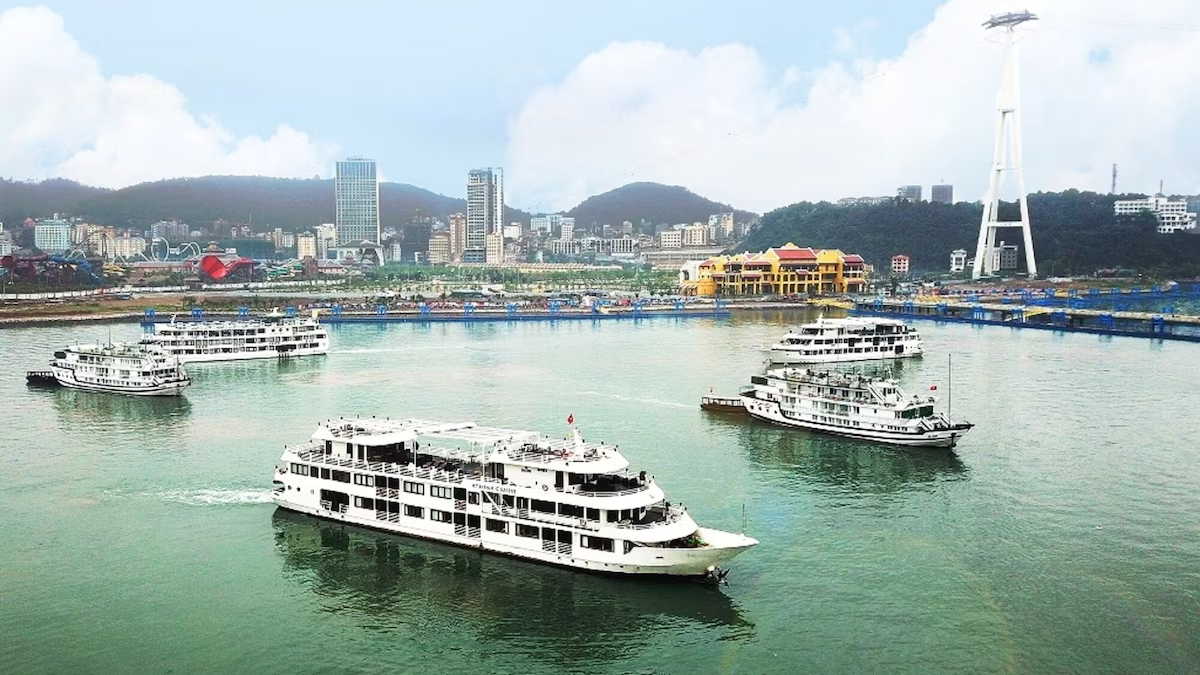 Trải nghiệm các tour du thuyền tham quan vịnh dễ dàng và thuận tiện khi đặt phòng khách sạn Hạ Long nghỉ dưỡng.