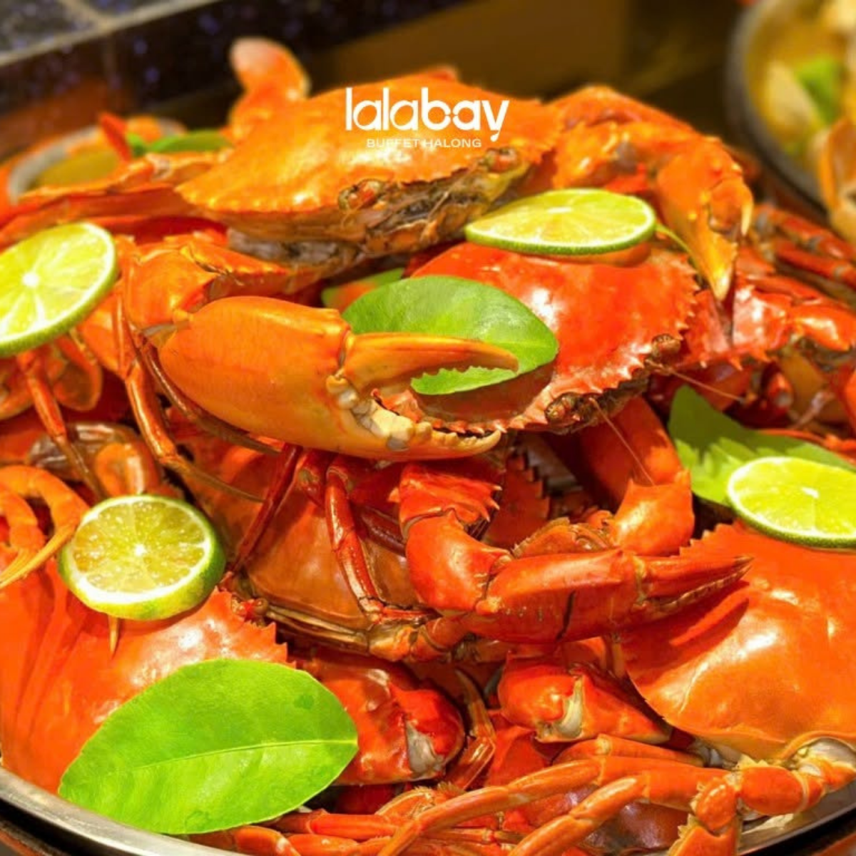 Nhà hàng Hạ Long ngon
