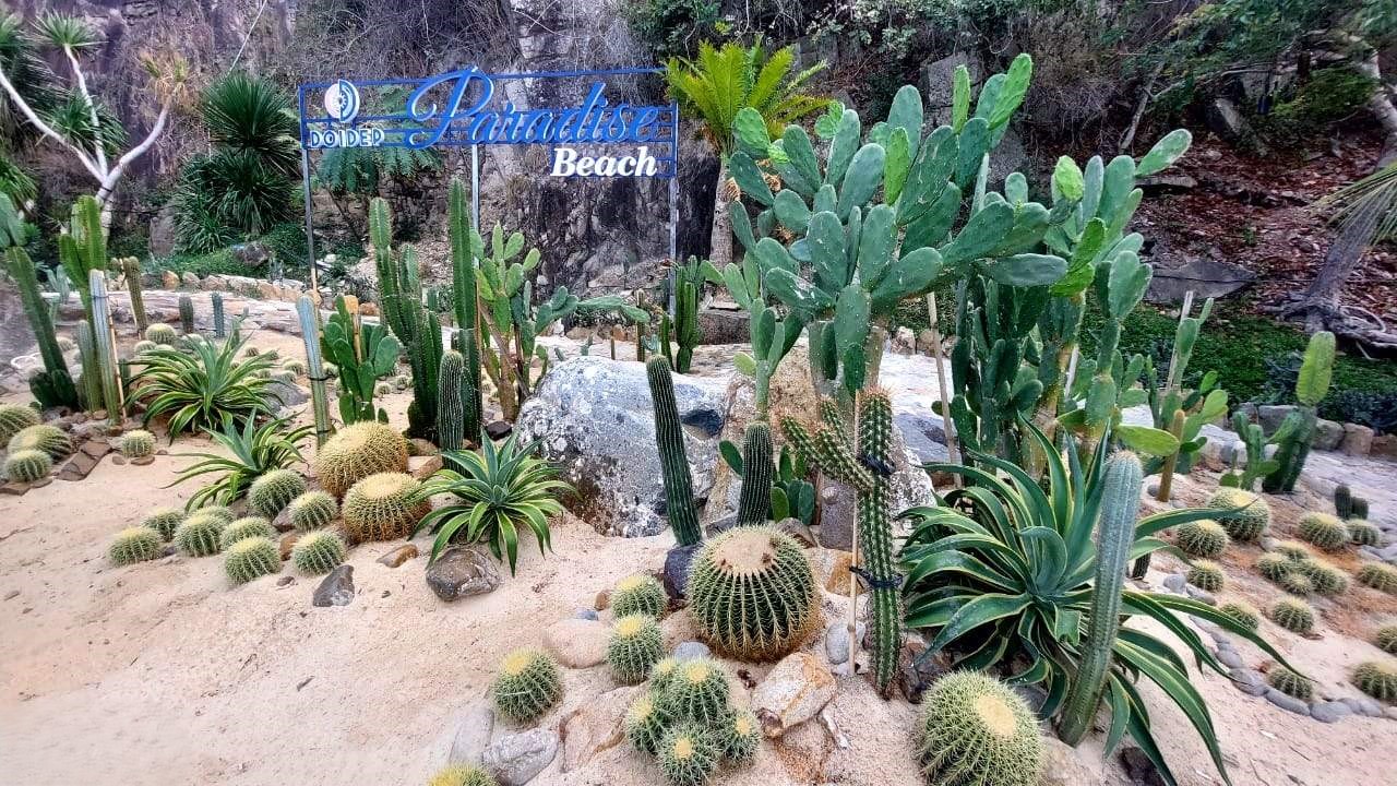 Vườn Thượng Uyển xanh mát, không gian thoáng đãng
