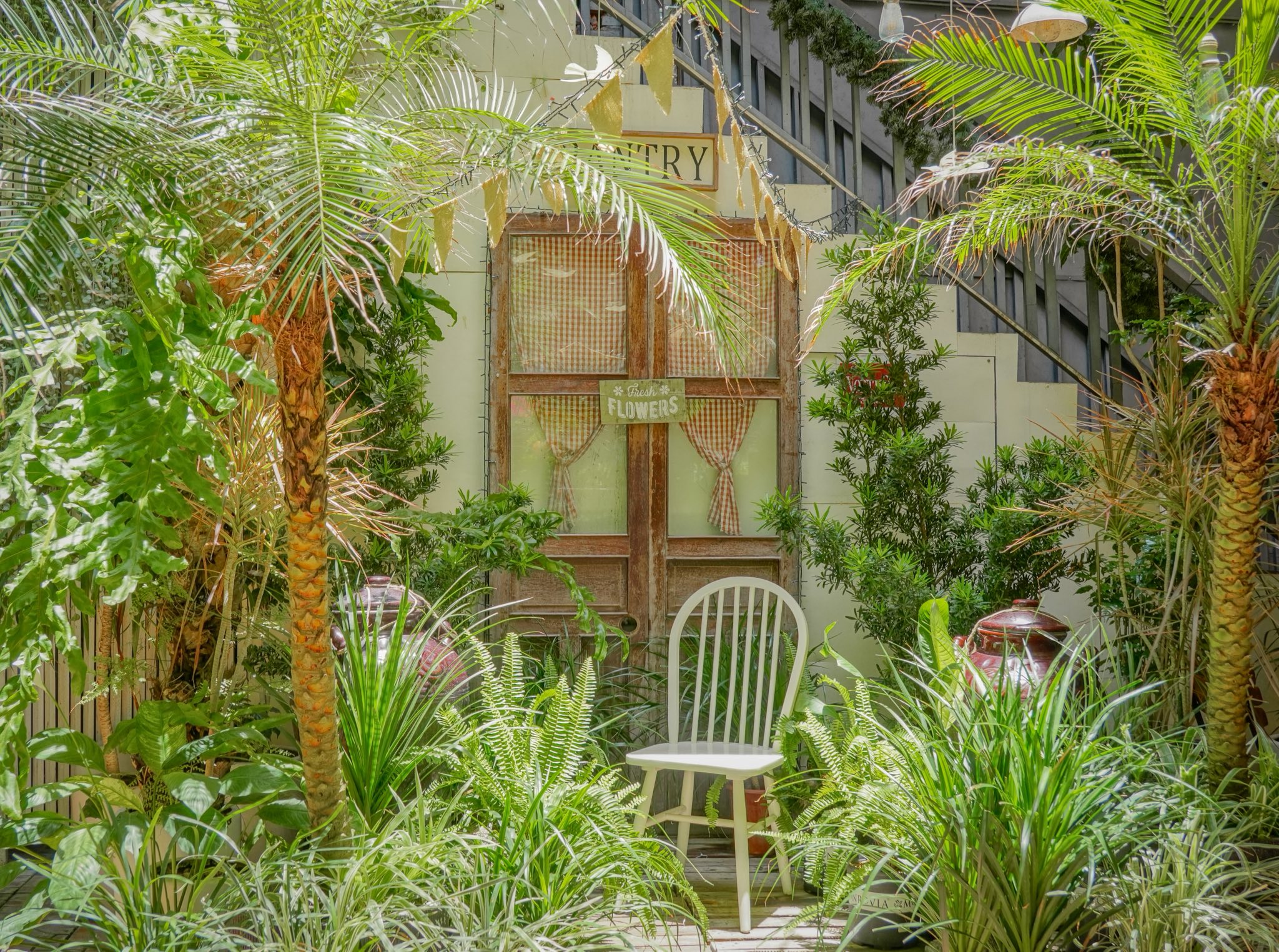 Alice Tea Room đẹp như một khu vườn nhiệt đới thu nhỏ 