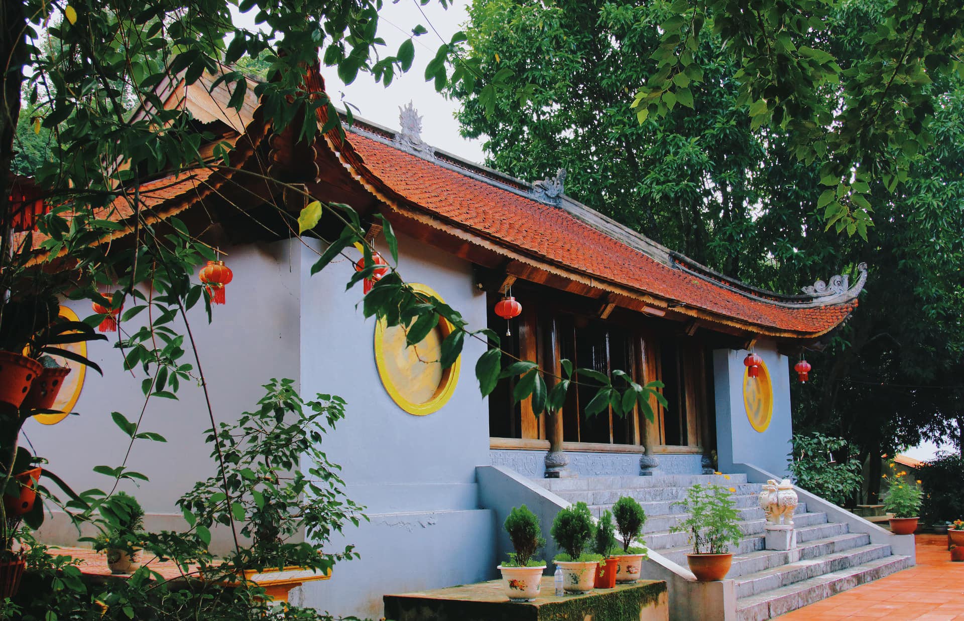 Ngôi Chùa Thiên Tượng Hà Tĩnh trang nghiêm nằm ẩn giữa rừng cây
