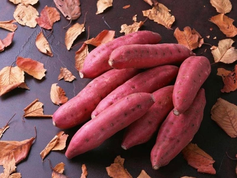 Khoai lang Tuy Đức nổi tiếng nhờ vị ngọt tự nhiên và độ dẻo thơm
