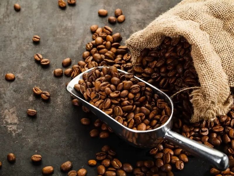 Cà phê Đắk Nông hương vị đậm đà dành cho người yêu cà phê
