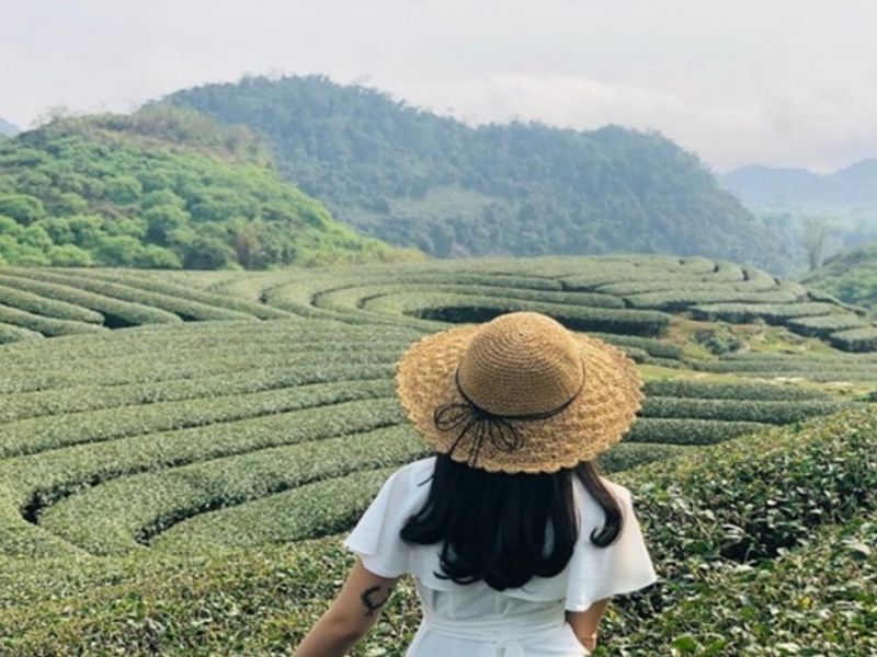 Check in, lưu giữ những bức hình tuyệt đẹp làm kỷ niệm khi đến du lịch tại đồi chè Kỳ Trung Hà Tĩnh
