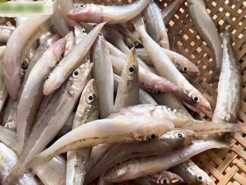 Nguyên liệu chính của món gỏi chính là cá đục 