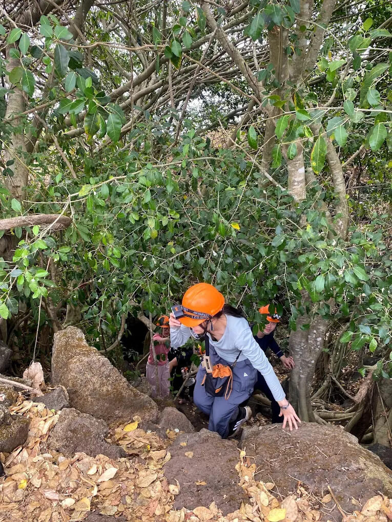 Hoạt động trải nghiệm trekking xuyên rừng nguyên sinh
