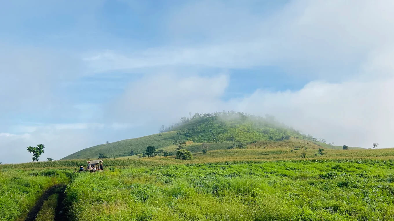 Hệ sinh thái rừng nguyên sinh bên ngoài hang động núi lửa
