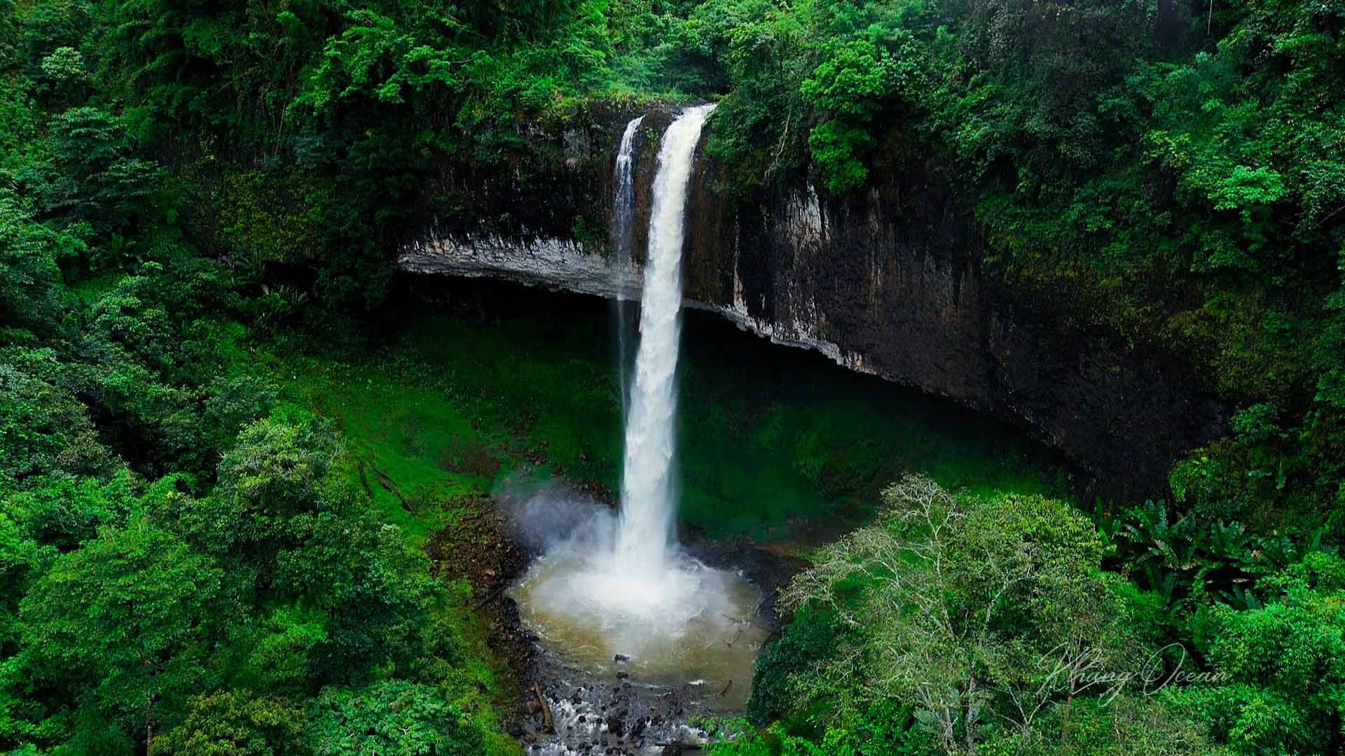 Thác nước ẩn mình giữa rừng già
