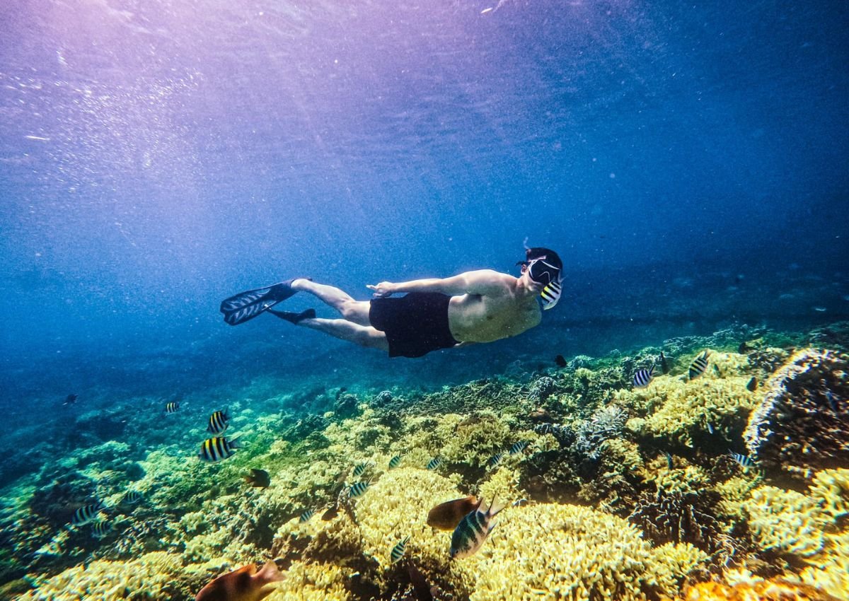 Các lưu ý cần nhớ khi tham gia lặn biển ở Nha Trang
