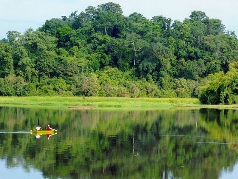 Khu bảo tồn thiên nhiên Pù Hoạt có nhiều loại thú lớn quý hiếm
