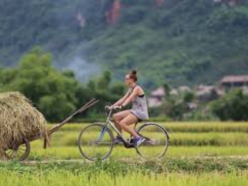 Những lưu ý cần biết khi du lịch Quỳ Châu Nghệ An
