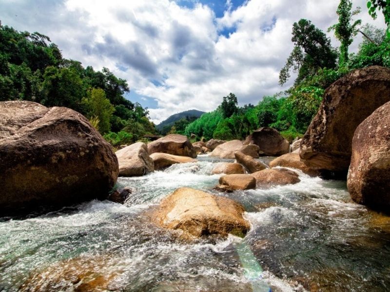 Cảnh sắc hùng vĩ mang đến cảm giác được thư giãn giữa núi rừng Suối Tiên Diên Khánh Khánh Hòa 
