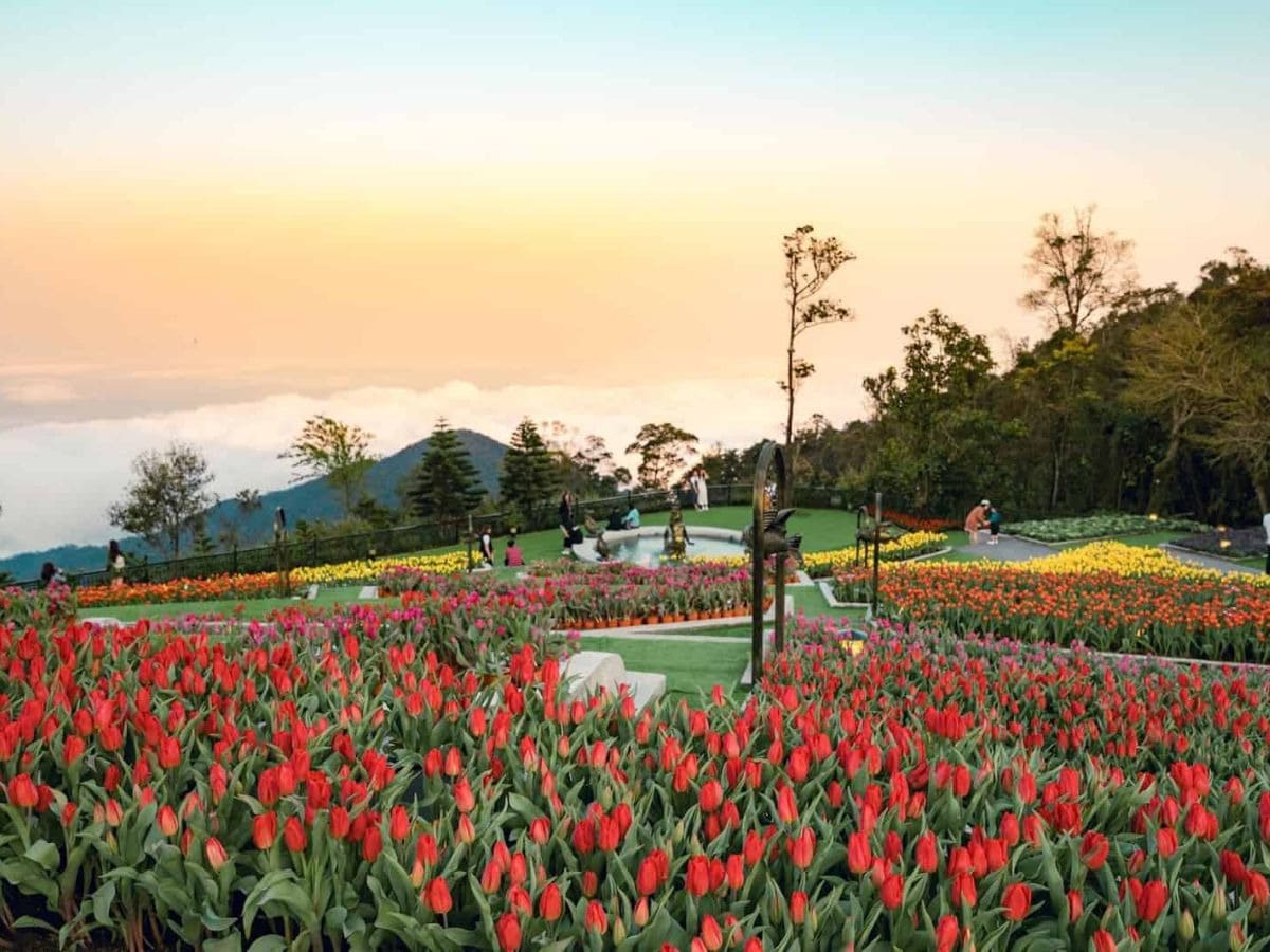 Vườn hoa Le Jardin D’Amour với hàng nghìn bông hoa khoe sắc