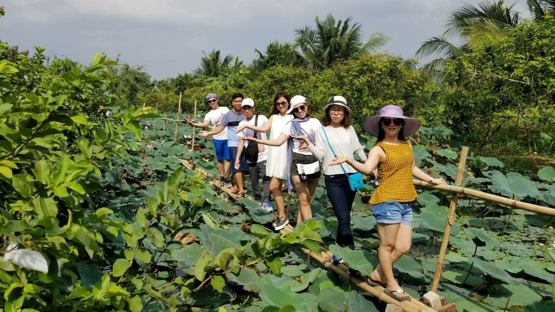 Khám phá Cồn Sơn miệt vườn