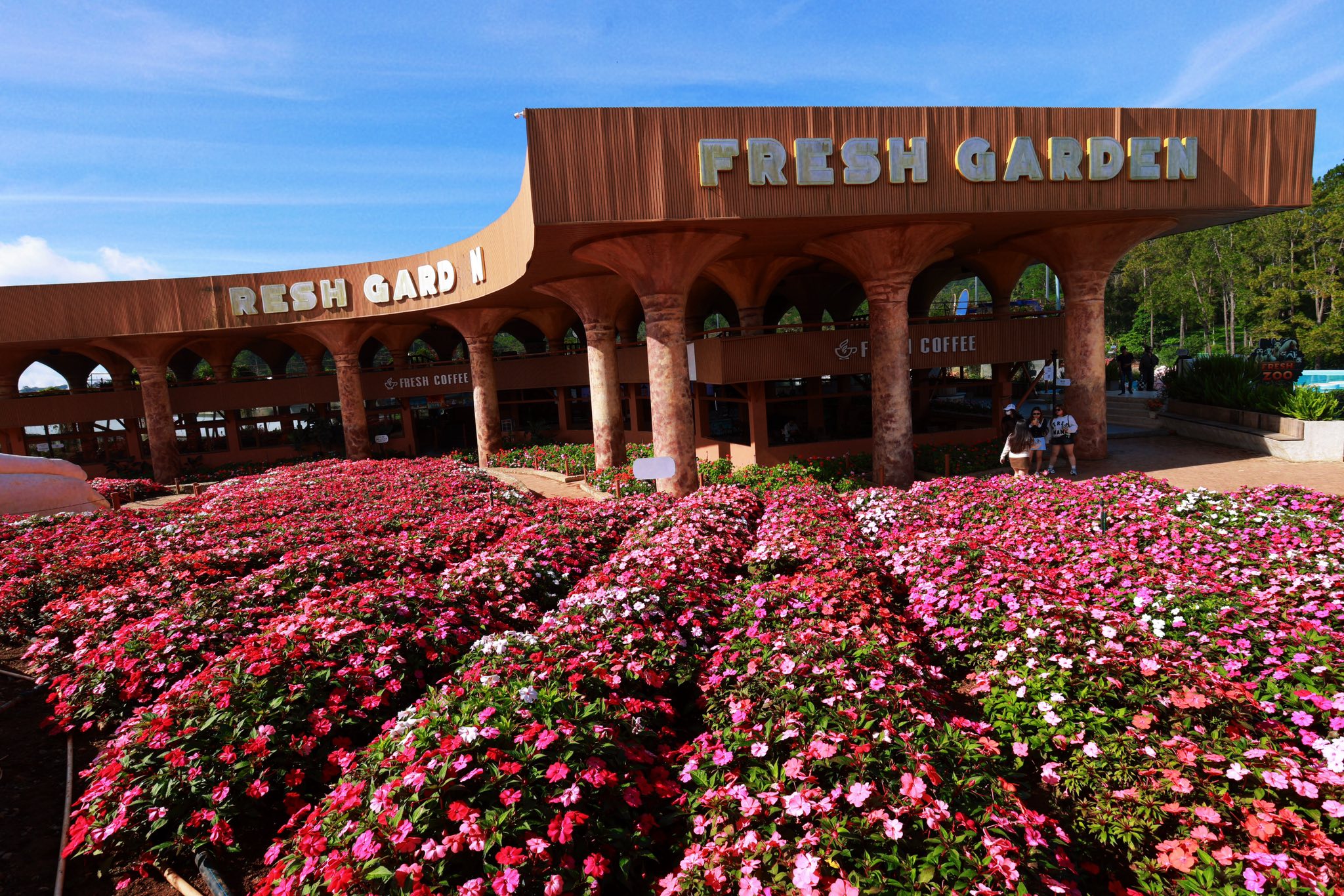 Fresh Coffee nổi bật với view vườn hoa tuyệt đẹp