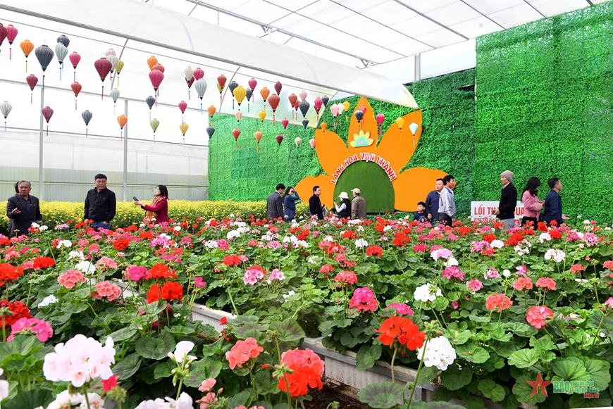 Làng hoa Vạn Thành hiện lên rực rỡ dưới góc ảnh của du khách