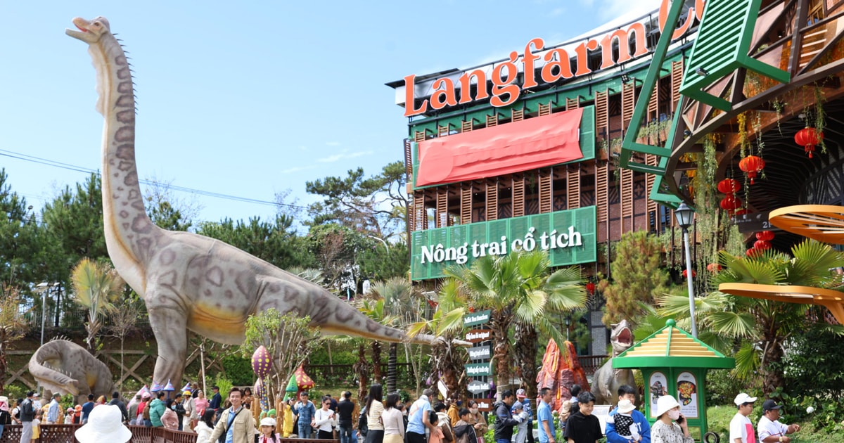 Langfarm Center là điểm dừng chân lý tưởng cho gia đình có trẻ nhỏ