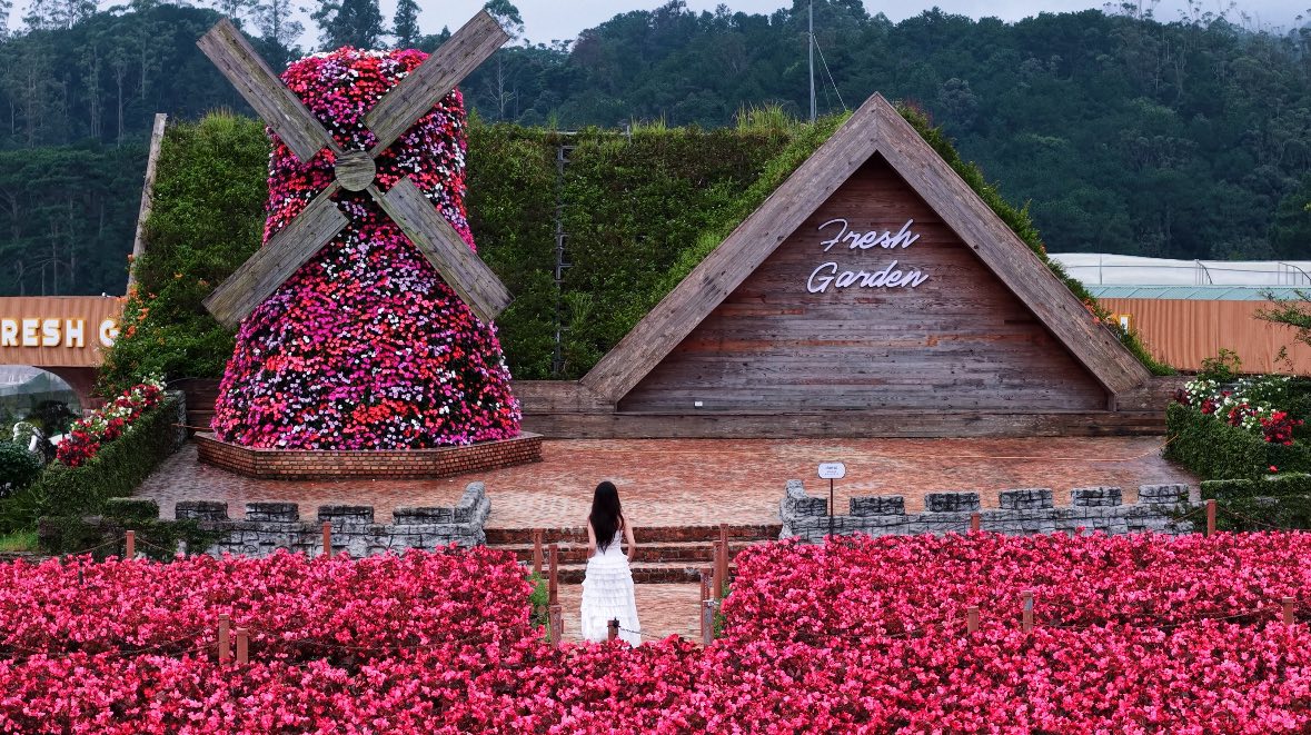 Fresh Garden Dalat cách trung tâm thành phố ngàn hoa chừng 5km