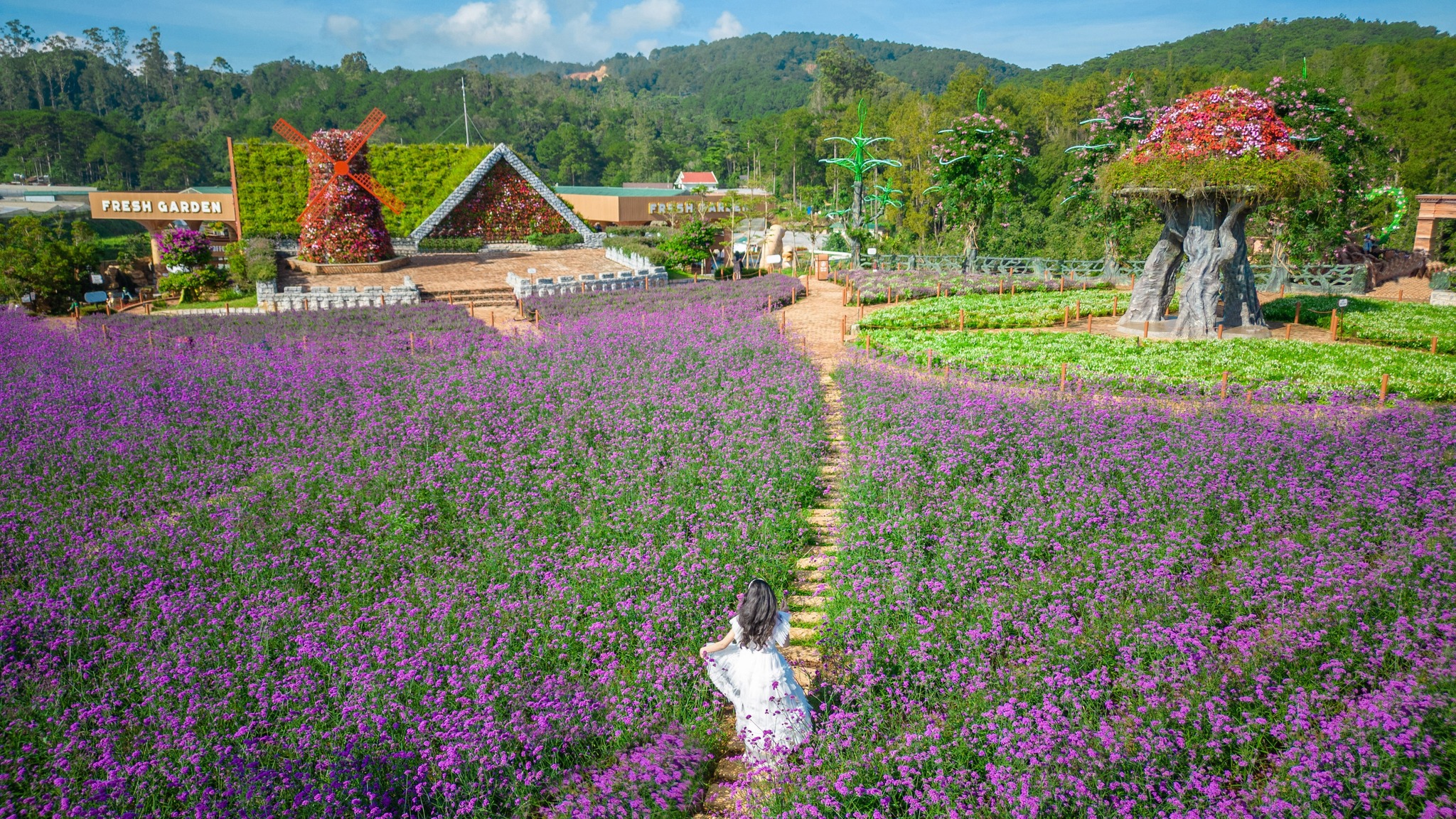 Cánh đồng hoa rực rỡ giữa lòng khu du lịch Fresh Garden Dalat