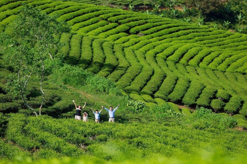 Cầu Đất Farm là tạo độc check-in hot hit gần Euro Garden