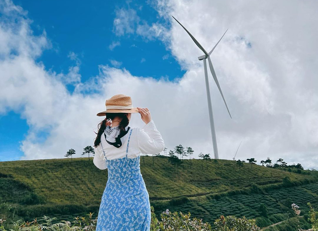 Điện gió Cầu Đất là điểm đến mà du khách không nên bỏ qua