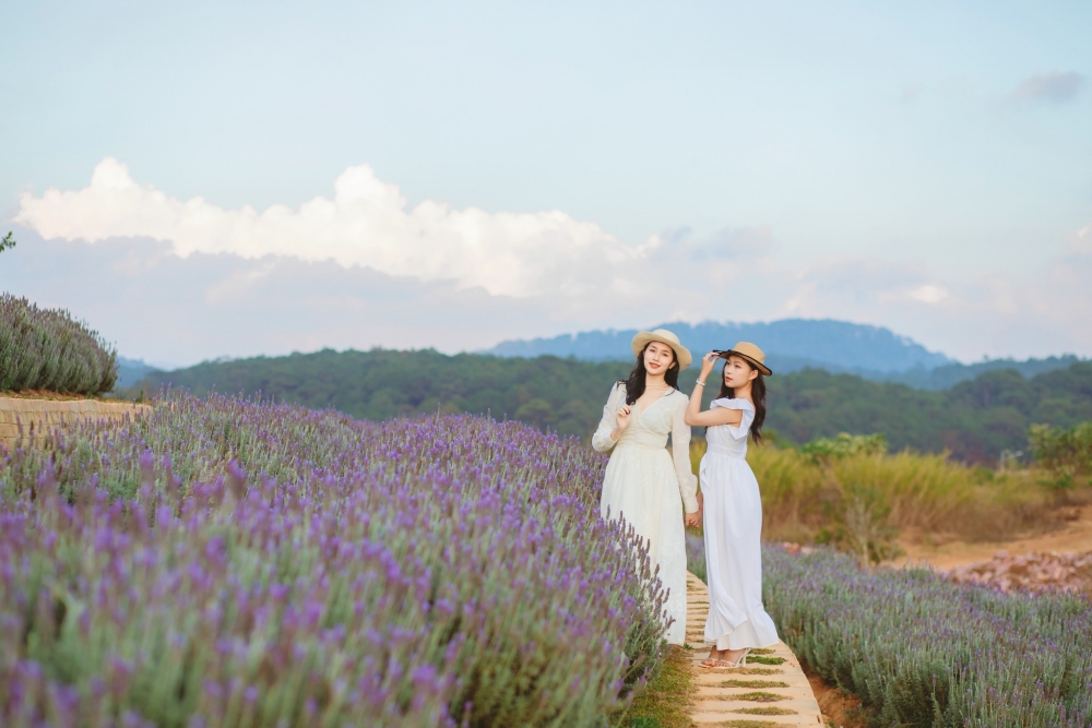 Khu vườn hoa Euro Garden đa sắc với nhiều góc sống ảo triệu like