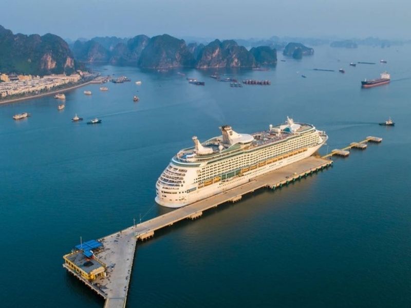 Bến du thuyền với nhiều tàu neo đậu, khung cảnh biển xanh và núi đá vôi đặc trưng của Vịnh Hạ Long.